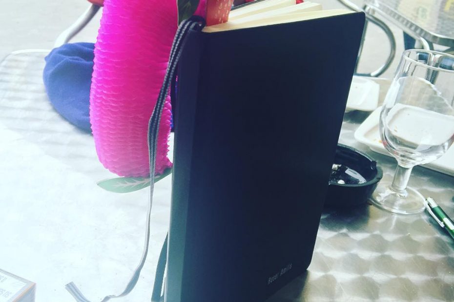 roser amills cuaderno