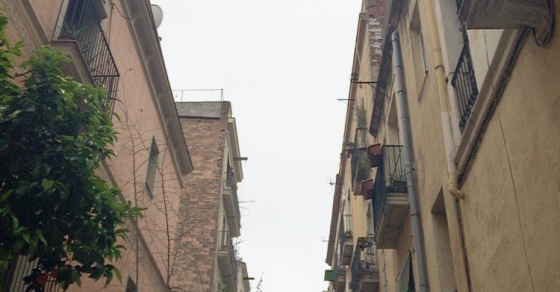 Los días de lluvia el cielo se llena de luz - Roser Amills, escritora mallorquina