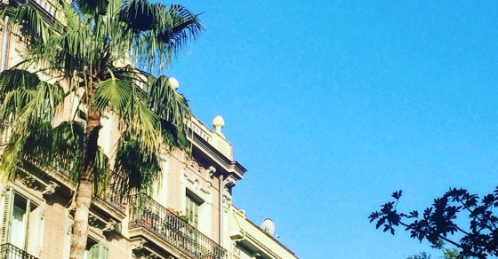 Practicas el arte de dominguear? - Roser Amills, escritora mallorquina