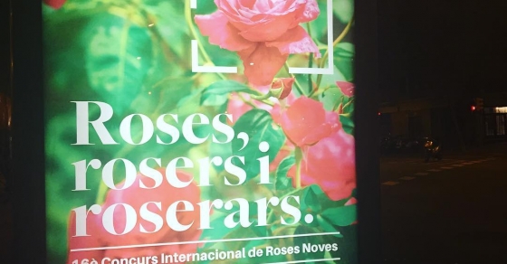 Anuncian la fiesta de las Rosers ;)) En viviendas del Congreso - Roser Amills, escritora mallorquina