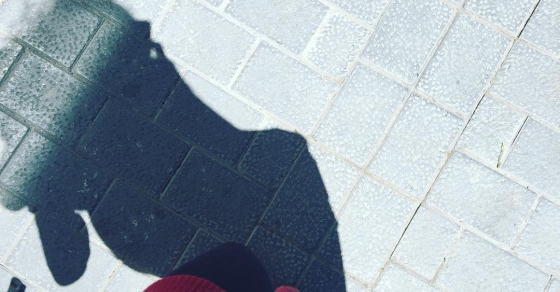 Un domingo espectacular! A disfrutar del sol - Roser Amills, escritora mallorquina