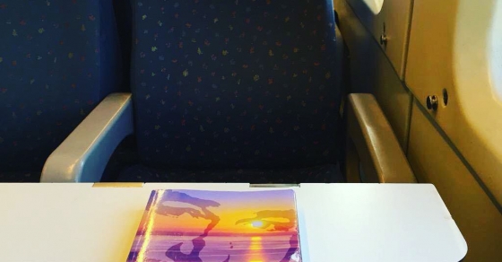 El ecuador de Ulises de Roser Amills