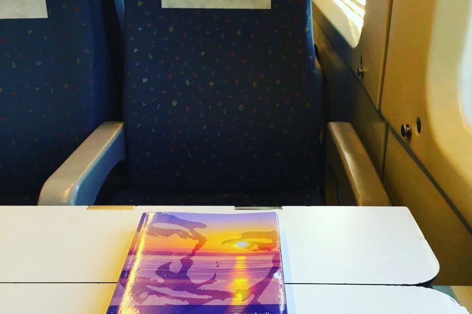 El ecuador de Ulises de Roser Amills