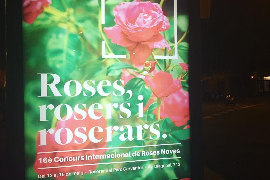 fiesta de las Rosers en viviendas del Congreso