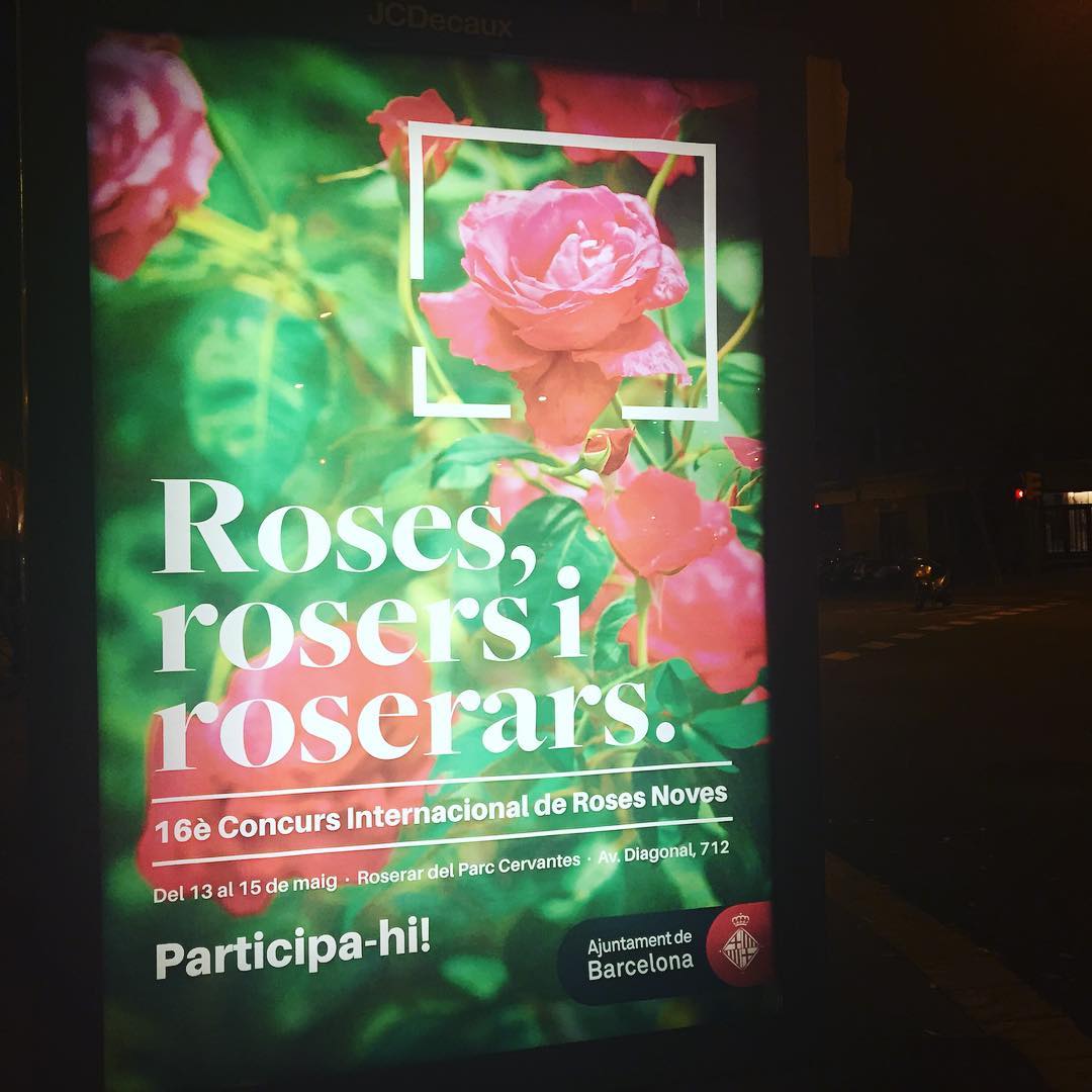 fiesta de las Rosers en viviendas del Congreso