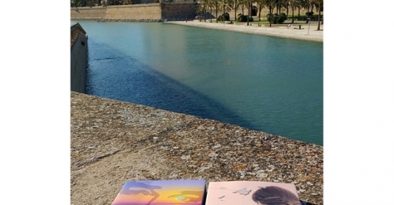 Novelas de Roser Amills