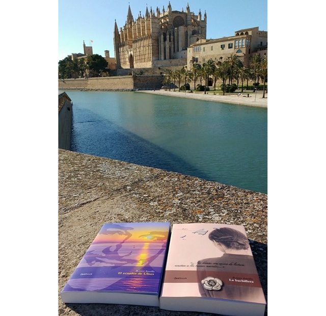 Novelas de Roser Amills