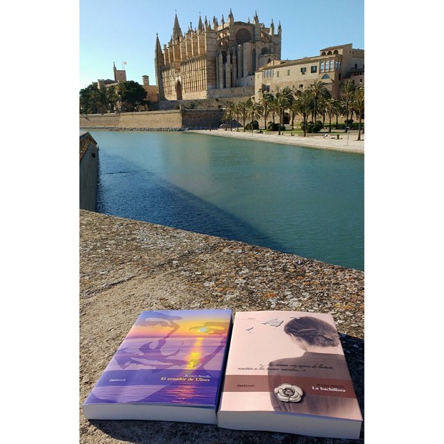 Novelas de Roser Amills