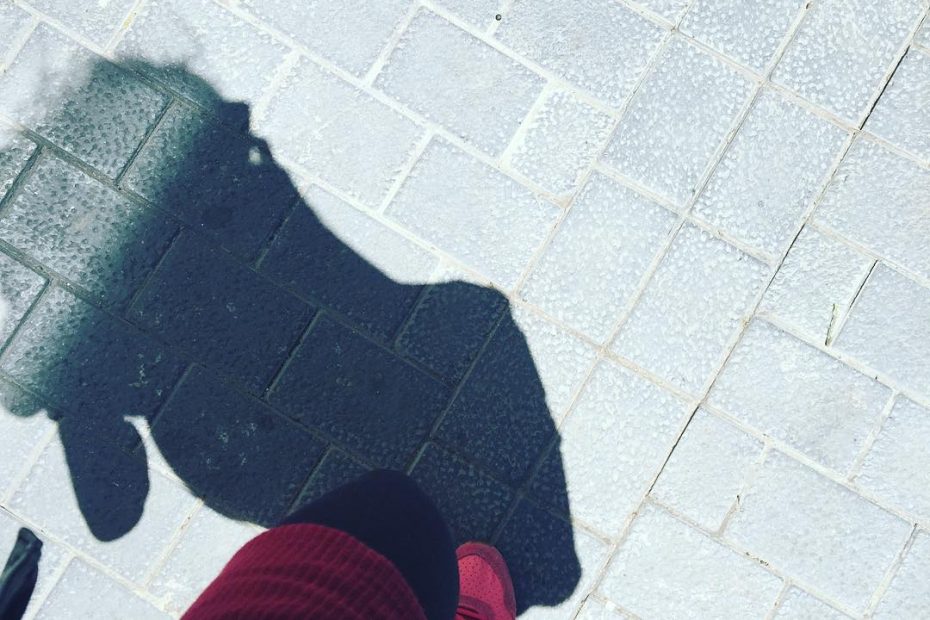 sombra de roser amills