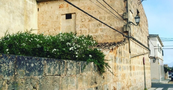 La calma, un domingo por la tarde, podría ser de color verde :)) - Roser Amills, escritora mallorquina