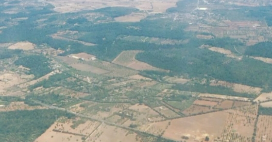 Avion sobrevolando Mallorca