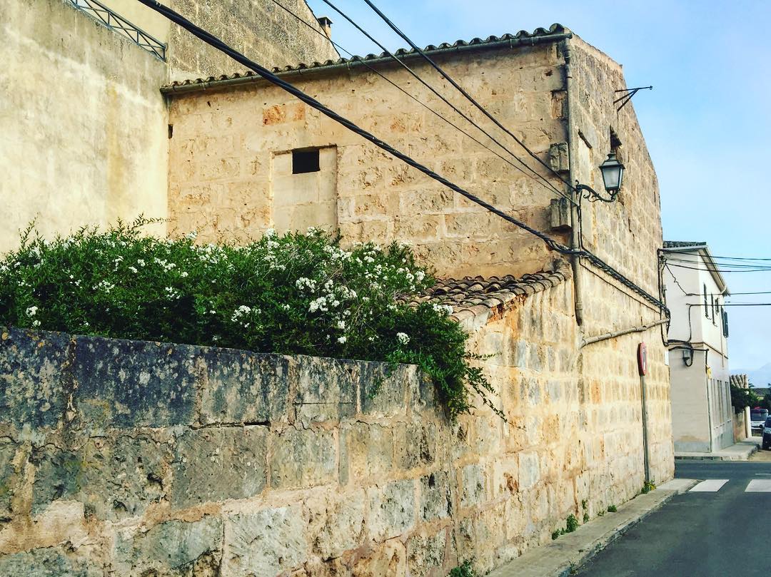 La calma, un domingo por la tarde, podría ser de color verde 