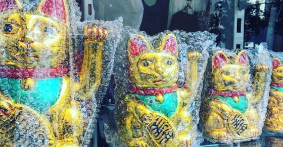 gato chino de la fortuna