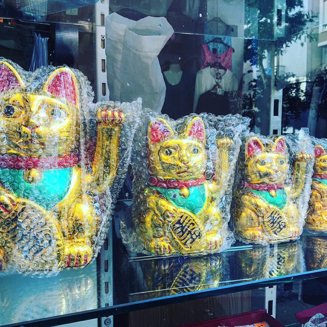 gato chino de la fortuna