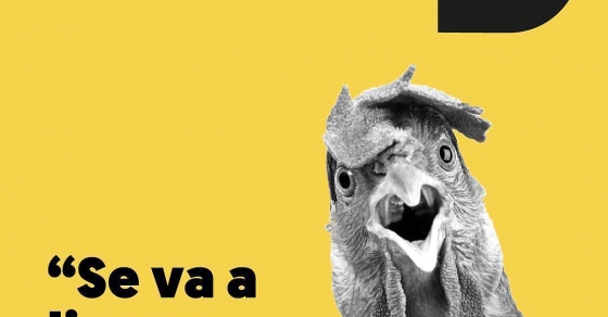 Insolit festival: volem celebrar que ens segueix Roser Amills amb aquesta imatge 2 Insolit festival