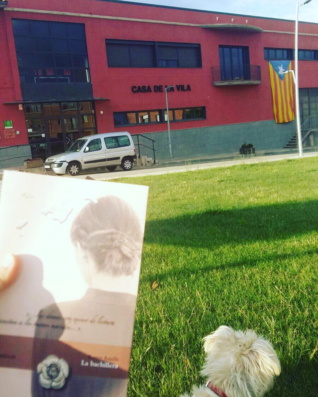 La bachillera de roser amills