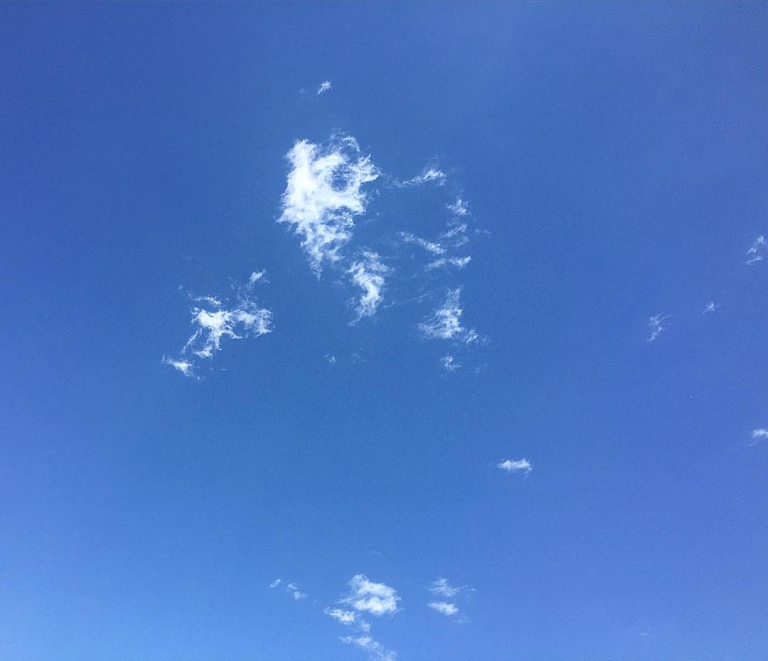 «El color es el lugar donde nuestro cerebro y el universo se encuentran»
Maurice Merleau-Ponty