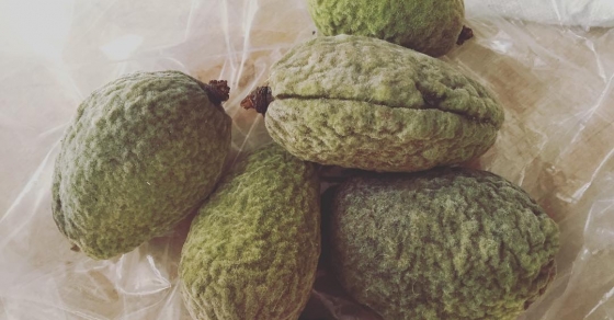 He encontrado almendrucos en el mercado y he vuelto a ser la niña de pueblo de siempre: #Algaida 2 He encontrado almendrucos en el mercado y he vuelto a ser la niña de pueblo de siempre: #Algaida - Roser Amills, escritora mallorquina