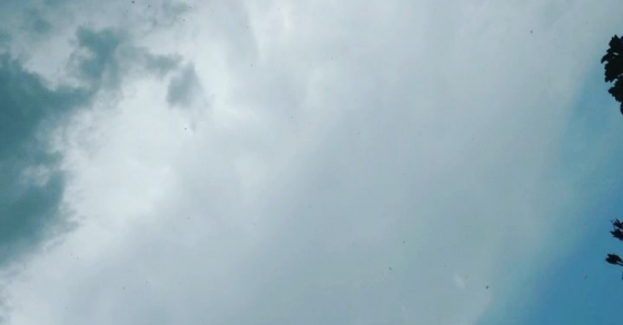 Escuchad la refrescante lluvia que cae ahora mismo sobre Barcelona :)) - Roser Amills, escritora mallorquina