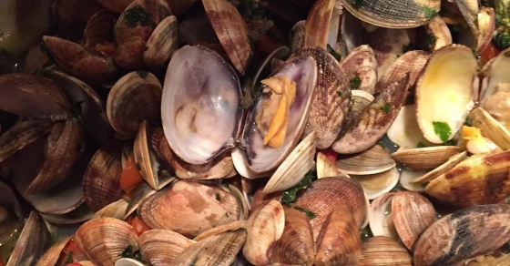 Vongole in love ;)) - Roser Amills, escritora mallorquina