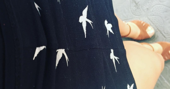 falda de rondini de roser amills