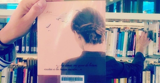 novela la bachillera de roser amills