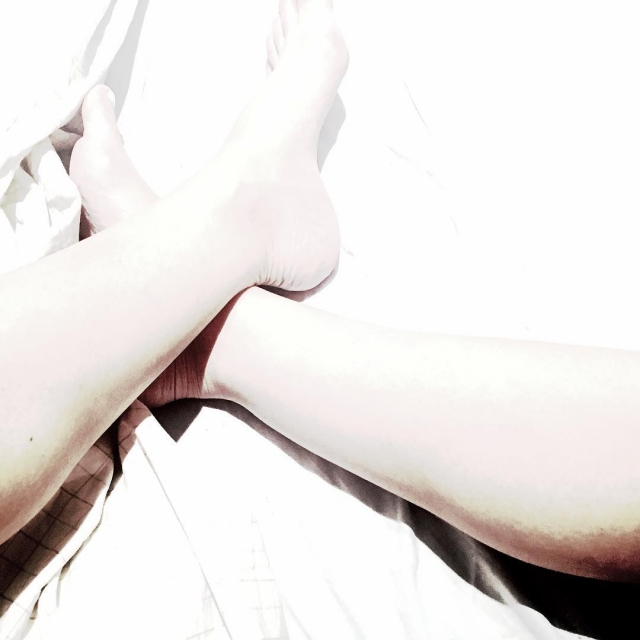 pies de roser amills