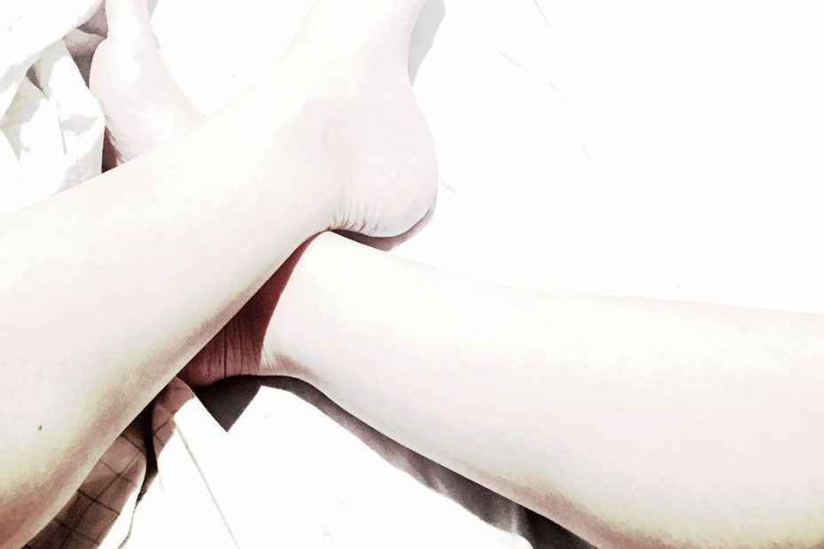 pies de roser amills