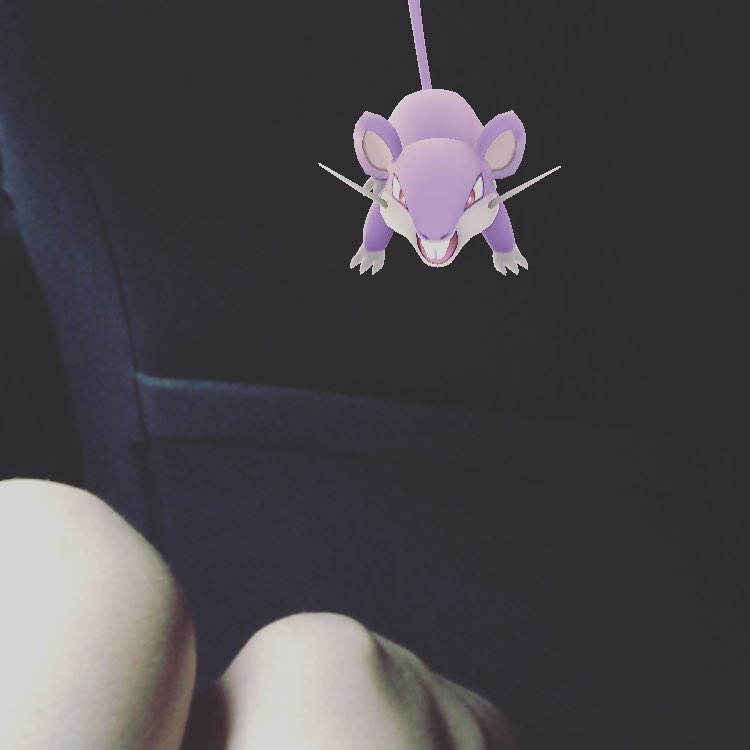 Nivel 13 de #pokemongo y tú?