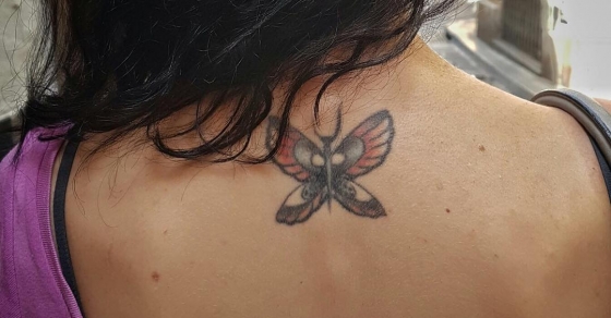 Tatuaje de Roser Amills, una mariposa, el tatuador fue darren Brass