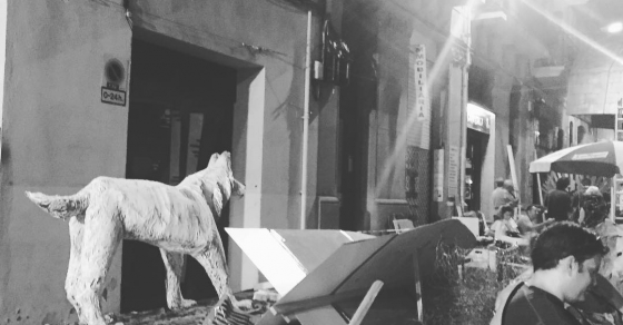 Trabajarán toda la noche para que las #festesdegracia2016 sean un éxito - Roser Amills, escritora mallorquina