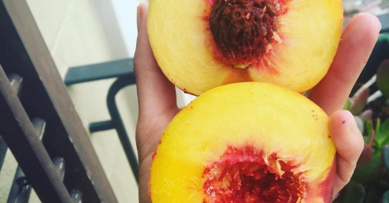 Os cuento 2 de mis trucos para escribir: tomar muchas vitaminas y no salir de casa ;)) 2 Os cuento 2 de mis trucos para escribir: tomar muchas vitaminas y no salir de casa ;)) - Roser Amills, escritora mallorquina