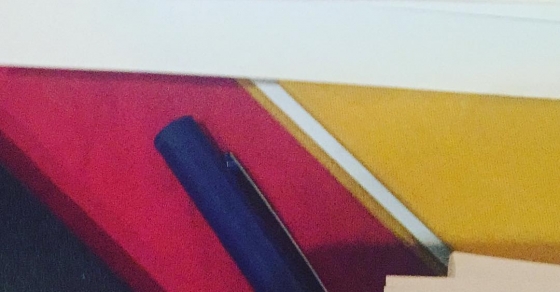 Cuadernos de Roser Amills