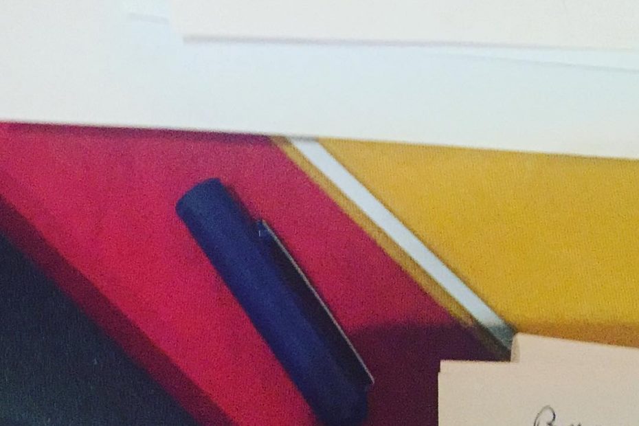 Cuadernos de Roser Amills