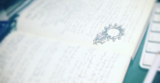 Cuadernos de Roser Amills