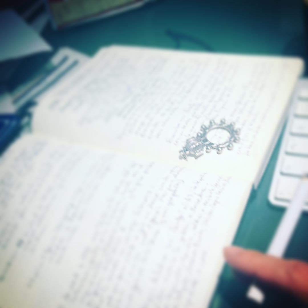 Cuadernos de Roser Amills