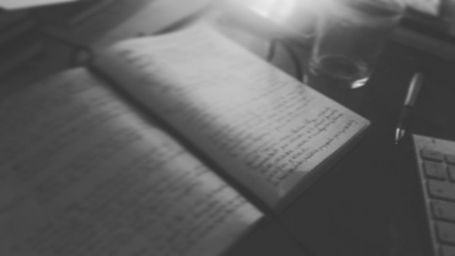 Cuadernos de Roser Amills