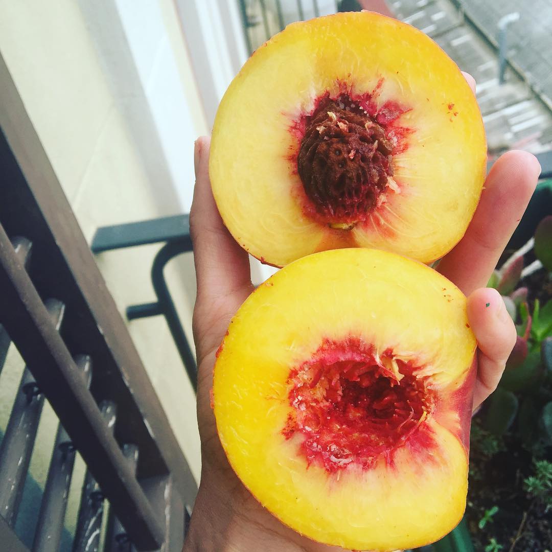 Os cuento 2 de mis trucos para escribir: tomar muchas vitaminas y no salir de casa  