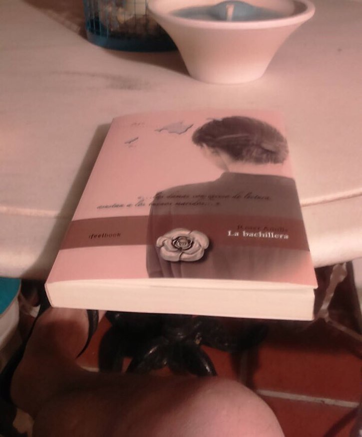 Novela La bachillera de Roser Amills