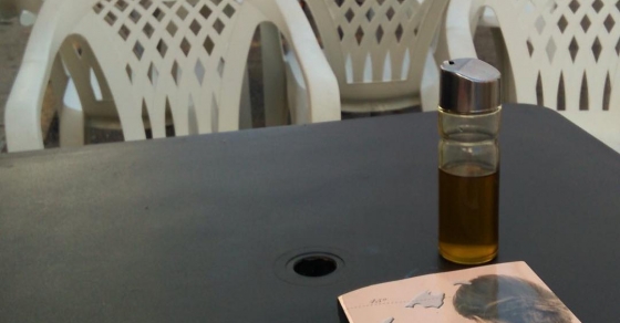 Novela La bachillera de Roser Amills