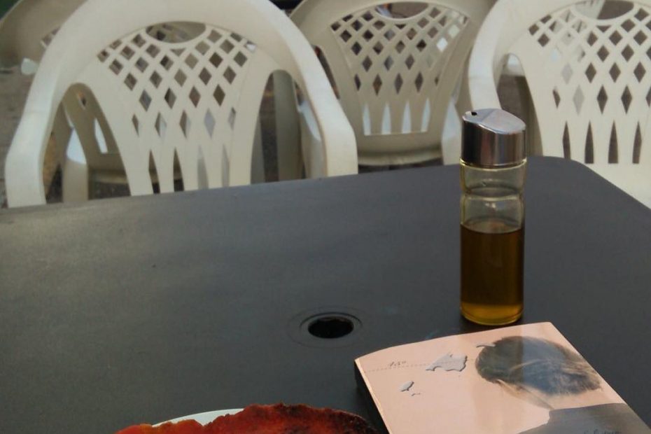 Novela La bachillera de Roser Amills