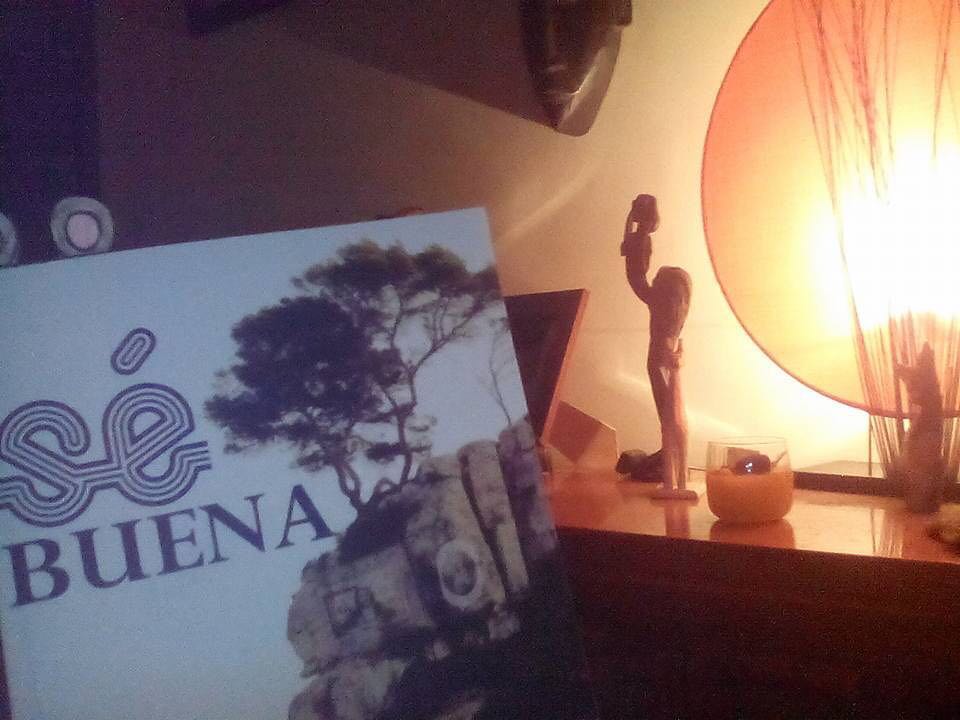 novela sé buena de roser amills