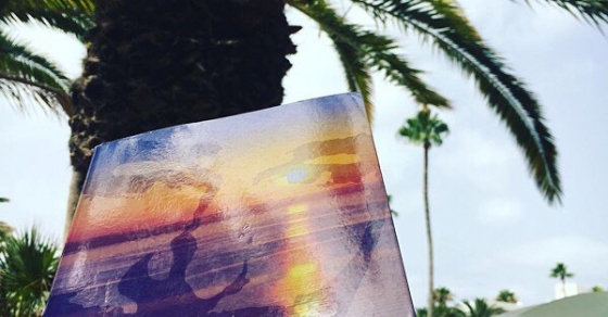 Novela sobre Errol Flynn de Roser Amills