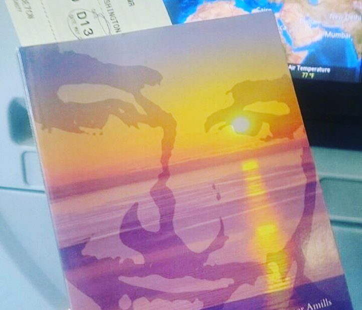 Novela sobre Errol Flynn en Mallorca de Roser Amills