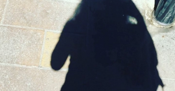 Sombra De Roser Amills