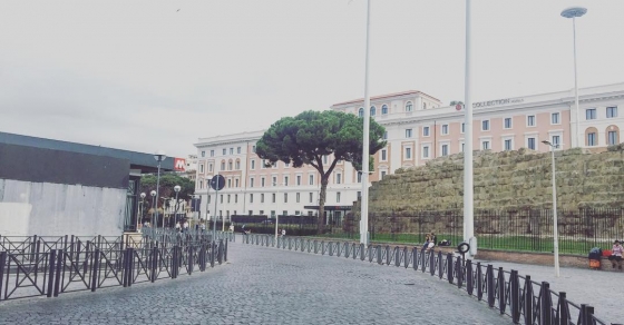 Adoro los pinos romanos! Salimos de Roma en unos minutos, próxima estación #Salerno ;)) - Roser Amills, escritora mallorquina