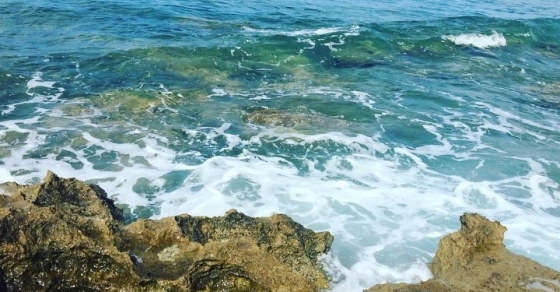 Questa mattina mi sono alzato e ho trovato el mar con @marco_blued ;)) - Roser Amills, escritora mallorquina