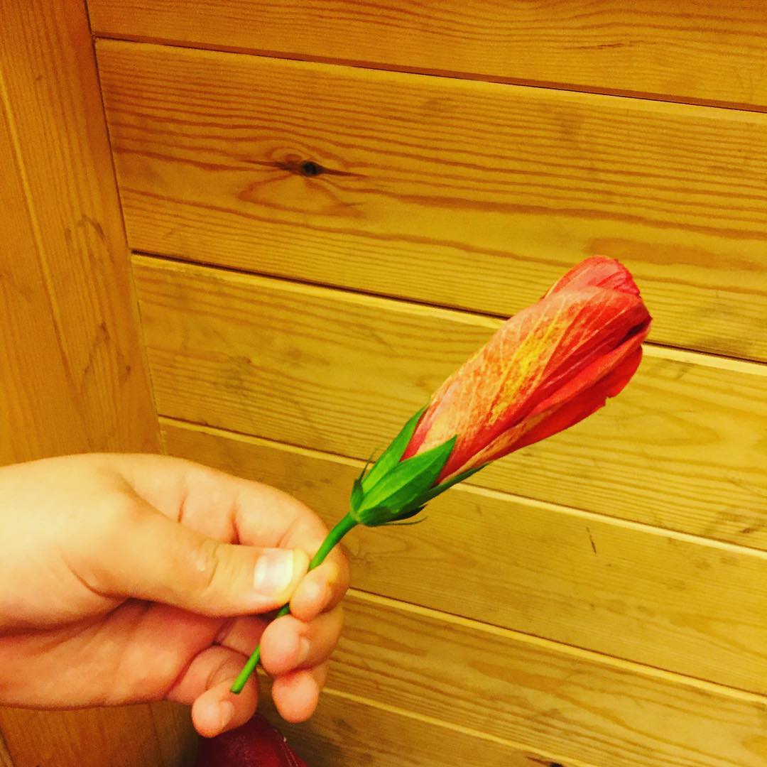 Tenemos flores y tenemos amor #regalodemipeque #haceilusion