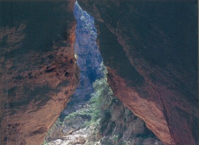 antologia Els caus secrets, que inclou a roser amills