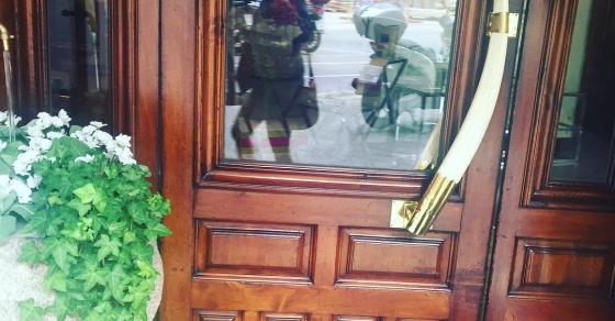 colmillo de elefante